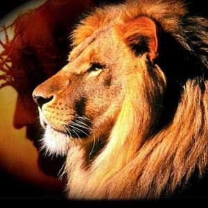 Meet your Posher, Cecil